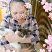 ヒメ日記 2025/04/12 19:12 投稿 小野寺(ダイナマイトボディ) おふくろさん 名古屋本店