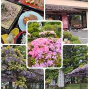 ヒメ日記 2025/05/02 13:15 投稿 小野寺(ダイナマイトボディ) おふくろさん 名古屋本店