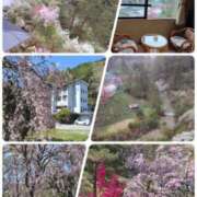 ヒメ日記 2025/05/04 02:58 投稿 小野寺(ダイナマイトボディ) おふくろさん 名古屋本店