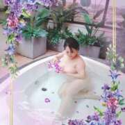 ヒメ日記 2025/05/11 17:08 投稿 小野寺(ダイナマイトボディ) おふくろさん 名古屋本店