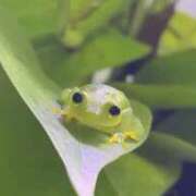 ヒメ日記 2025/06/11 23:15 投稿 小野寺(ダイナマイトボディ) おふくろさん 名古屋本店