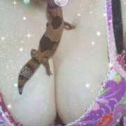 ヒメ日記 2025/06/13 11:08 投稿 小野寺(ダイナマイトボディ) おふくろさん 名古屋本店