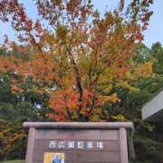 ヒメ日記 2025/11/10 23:40 投稿 小野寺(ダイナマイトボディ) おふくろさん 名古屋本店