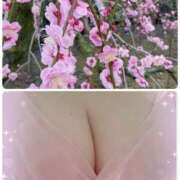 ヒメ日記 2025/03/17 08:55 投稿 米倉(これぞ美魔女の極み) おふくろさん 名古屋本店