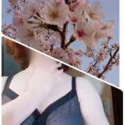 ヒメ日記 2025/03/24 08:38 投稿 米倉(これぞ美魔女の極み) おふくろさん 名古屋本店