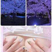 ヒメ日記 2025/04/16 08:50 投稿 米倉(これぞ美魔女の極み) おふくろさん 名古屋本店