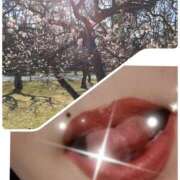 ヒメ日記 2026/02/27 09:13 投稿 米倉(これぞ美魔女の極み) おふくろさん 名古屋本店