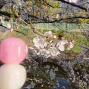 ヒメ日記 2026/03/20 12:06 投稿 米倉(これぞ美魔女の極み) おふくろさん 名古屋本店