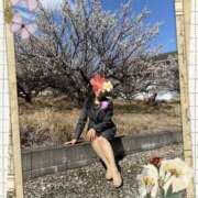 ヒメ日記 2025/03/14 00:40 投稿 水城(これぞおふくろ代表) おふくろさん 名古屋本店