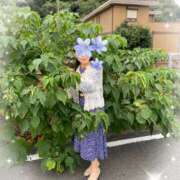 ヒメ日記 2025/11/09 00:10 投稿 水城(これぞおふくろ代表) おふくろさん 名古屋本店