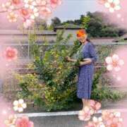 ヒメ日記 2026/01/16 00:03 投稿 水城(これぞおふくろ代表) おふくろさん 名古屋本店