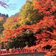 ヒメ日記 2025/11/29 20:01 投稿 香取(いやぁ～可愛い♪) おふくろさん 名古屋本店