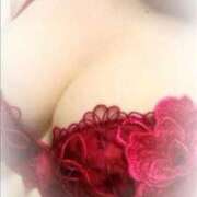 ヒメ日記 2025/12/05 19:32 投稿 香取(いやぁ～可愛い♪) おふくろさん 名古屋本店