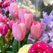 ヒメ日記 2025/12/12 14:00 投稿 香取(いやぁ～可愛い♪) おふくろさん 名古屋本店