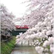 ヒメ日記 2026/02/12 16:05 投稿 香取(いやぁ～可愛い♪) おふくろさん 名古屋本店