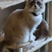 ヒメ日記 2025/01/04 11:48 投稿 川田(上品真面目な熟女さん) おふくろさん 名古屋本店