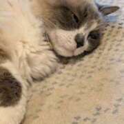 ヒメ日記 2025/04/16 11:56 投稿 川田(上品真面目な熟女さん) おふくろさん 名古屋本店