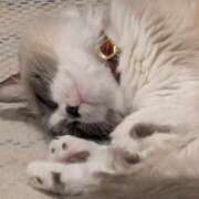 ヒメ日記 2025/04/20 09:42 投稿 川田(上品真面目な熟女さん) おふくろさん 名古屋本店