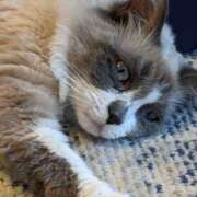 ヒメ日記 2025/08/29 12:44 投稿 川田(上品真面目な熟女さん) おふくろさん 名古屋本店