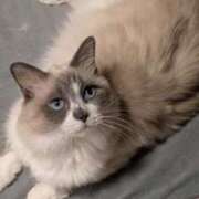 ヒメ日記 2026/02/08 10:44 投稿 川田(上品真面目な熟女さん) おふくろさん 名古屋本店