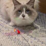 ヒメ日記 2026/02/19 11:33 投稿 川田(上品真面目な熟女さん) おふくろさん 名古屋本店