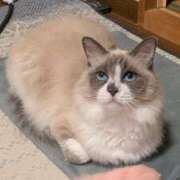 ヒメ日記 2026/02/22 11:03 投稿 川田(上品真面目な熟女さん) おふくろさん 名古屋本店