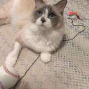 川田(上品真面目な熟女さん) おはようございます おふくろさん 名古屋本店