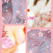 ヒメ日記 2025/08/20 16:50 投稿 小町(濃密で秘密のサービス) おふくろさん 名古屋本店