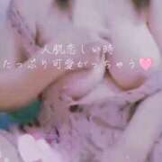 ヒメ日記 2025/12/19 07:21 投稿 小町(濃密で秘密のサービス) おふくろさん 名古屋本店