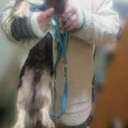 ヒメ日記 2025/02/08 16:10 投稿 内海(むにむに柔らかボディ) おふくろさん 名古屋本店