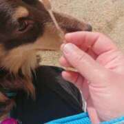 ヒメ日記 2025/03/14 13:41 投稿 内海(むにむに柔らかボディ) おふくろさん 名古屋本店