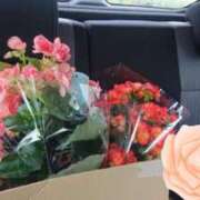 ヒメ日記 2025/06/10 19:32 投稿 内海(むにむに柔らかボディ) おふくろさん 名古屋本店