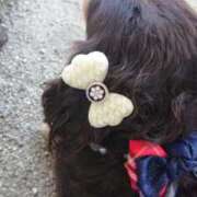 ヒメ日記 2025/11/01 19:29 投稿 内海(むにむに柔らかボディ) おふくろさん 名古屋本店