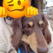 ヒメ日記 2025/11/09 11:36 投稿 内海(むにむに柔らかボディ) おふくろさん 名古屋本店