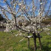 ヒメ日記 2026/02/26 15:35 投稿 内海(むにむに柔らかボディ) おふくろさん 名古屋本店