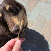 ヒメ日記 2026/03/04 13:07 投稿 内海(むにむに柔らかボディ) おふくろさん 名古屋本店