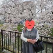ヒメ日記 2026/03/29 16:29 投稿 内海(むにむに柔らかボディ) おふくろさん 名古屋本店