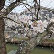 ヒメ日記 2026/04/07 13:05 投稿 内海(むにむに柔らかボディ) おふくろさん 名古屋本店