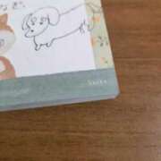 ヒメ日記 2026/04/14 10:19 投稿 内海(むにむに柔らかボディ) おふくろさん 名古屋本店