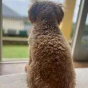 ヒメ日記 2025/05/23 12:27 投稿 まい 虹色メロンパイ 横浜店