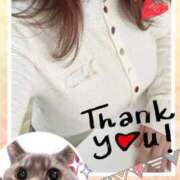 ヒメ日記 2025/11/19 15:45 投稿 まい 虹色メロンパイ 横浜店