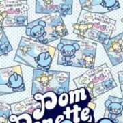 ヒメ日記 2025/05/30 00:20 投稿 るるか 新宿サンキュー