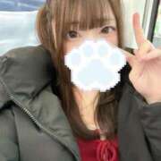 ヒメ日記 2025/12/23 11:28 投稿 ここね 山梨　風俗　デリヘル　 『ラブ＆ピース学園』