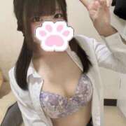 ヒメ日記 2025/12/24 14:44 投稿 ここね 山梨　風俗　デリヘル　 『ラブ＆ピース学園』