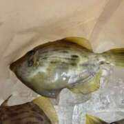 ヒメ日記 2025/12/19 00:51 投稿 瑠璃(るり) グランドオペラ横浜