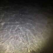 ヒメ日記 2026/04/10 21:35 投稿 瑠璃(るり) グランドオペラ横浜