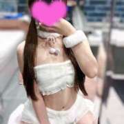 Kiyora ねこちゃん🐈💕 THE PREMIUM （プレミアム）