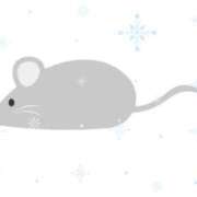 ヒメ日記 2025/01/11 09:52 投稿 小野 人妻風俗チャンネル