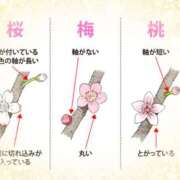 ヒメ日記 2025/02/25 16:02 投稿 小野 人妻風俗チャンネル