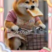 ヒメ日記 2025/08/28 08:47 投稿 小野 人妻風俗チャンネル